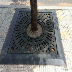 長(cháng)沙树围子