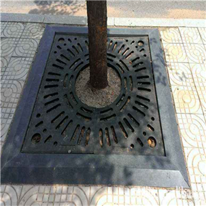 長(cháng)沙树围子